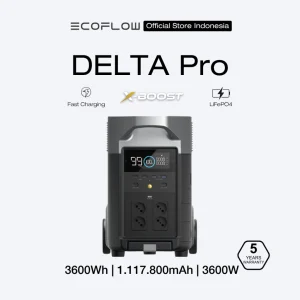 EcoFlow Delta Pro