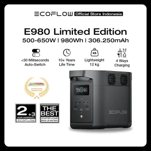 EcoFlow E980